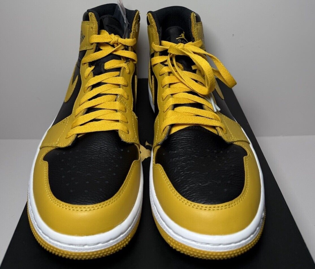 Nike Air Jordan 1 High G Pollen/Black-White DQ0660-700 Men's Size 10-NIB #1