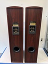 Denmark Image H3 Pro Series Tower Speaker By i-pif-e-ne in Boston