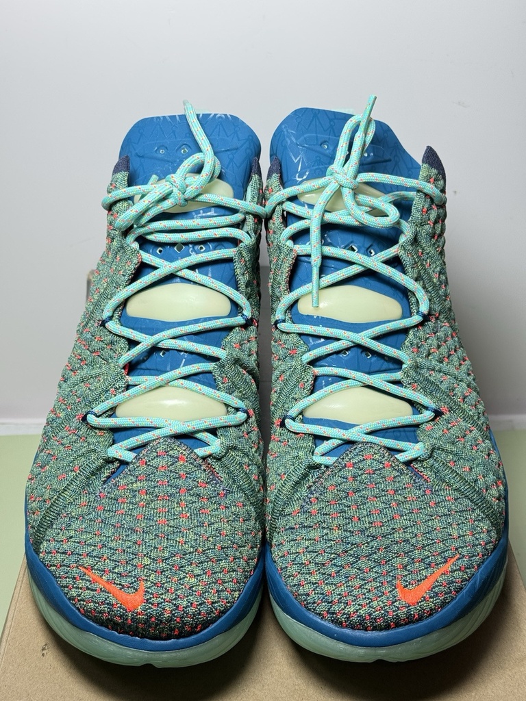 Nike Lebron 18 "We Are Family" Green Crimson Basketball CQ9283-300 Men’s Size 11 #1