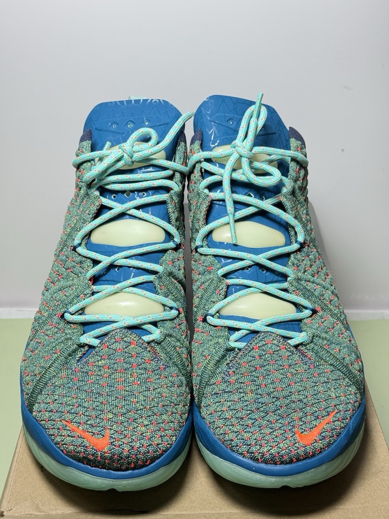 Nike Lebron 18 "We Are Family" Green Crimson Basketball CQ9283-300 Men’s Size 11 #5