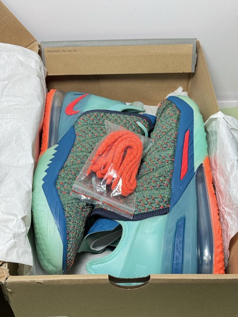 Nike Lebron 18 "We Are Family" Green Crimson Basketball CQ9283-300 Men’s Size 11 #7