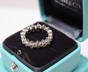 Tiffany & Co Aria Diamond Eternity Band Ring 18K Platinum w/ Box & Papers with delivery