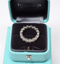Tiffany & Co Aria Diamond Eternity Band Ring 18K Platinum w/ Box & Papers – photo-6