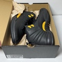 Air Jordan 12 Retro Black Taxi Men's CT8013-071 US MEN'S SIZE 11.5 -NIB with delivery