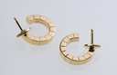Cartier Lanières Earrings 18Kt Gold B8023100 – Full Set w/ Box & Service Docs price