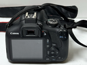 Canon EOS Rebel T7 24.1 MP Digital SLR Camera Black  with 18-55 Lens cost
