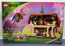 LEGO Wicked Munchkinland Glinda and Elphaba 75690 used
