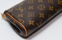 Louis Vuitton Eva Handbag Monogram Canvas in Boston