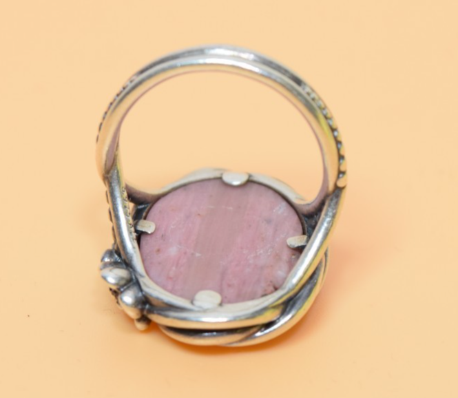 PANDORA ALE 925 Sterling Silver Pink Rhodolite Wanda's Garden 190847RNI Size 8 #5