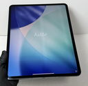 Apple iPad Pro 13” M5 256GB Space Black WiFi +Cell Unlocked, 0 cycles, 100% batt price