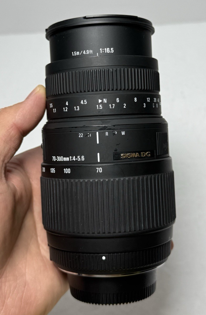 Nikon D3100 Digital SLR Camera with  Sigma 70-300mm DG Lens 34054 Shutter #6
