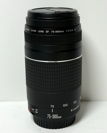 [13561-1] Canon EF 75-300mm f/4-5.6 III Telephoto Zoom Lens